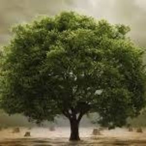 Meet your Posher, Lorie